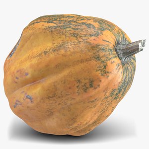 pumpkin 4 model