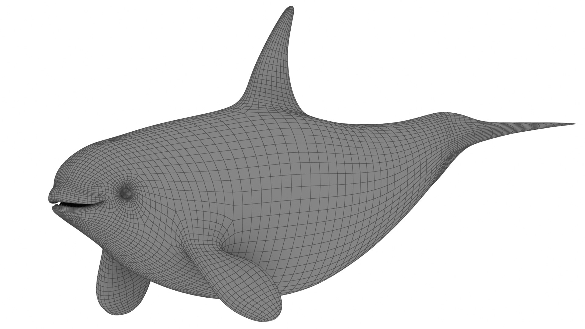 Cartoon Killer Whale 3D Model - TurboSquid 2082405