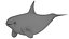 Cartoon Killer Whale 3D model
