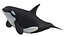 Cartoon Killer Whale 3D model