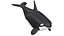 Cartoon Killer Whale 3D model