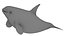 Cartoon Killer Whale 3D model