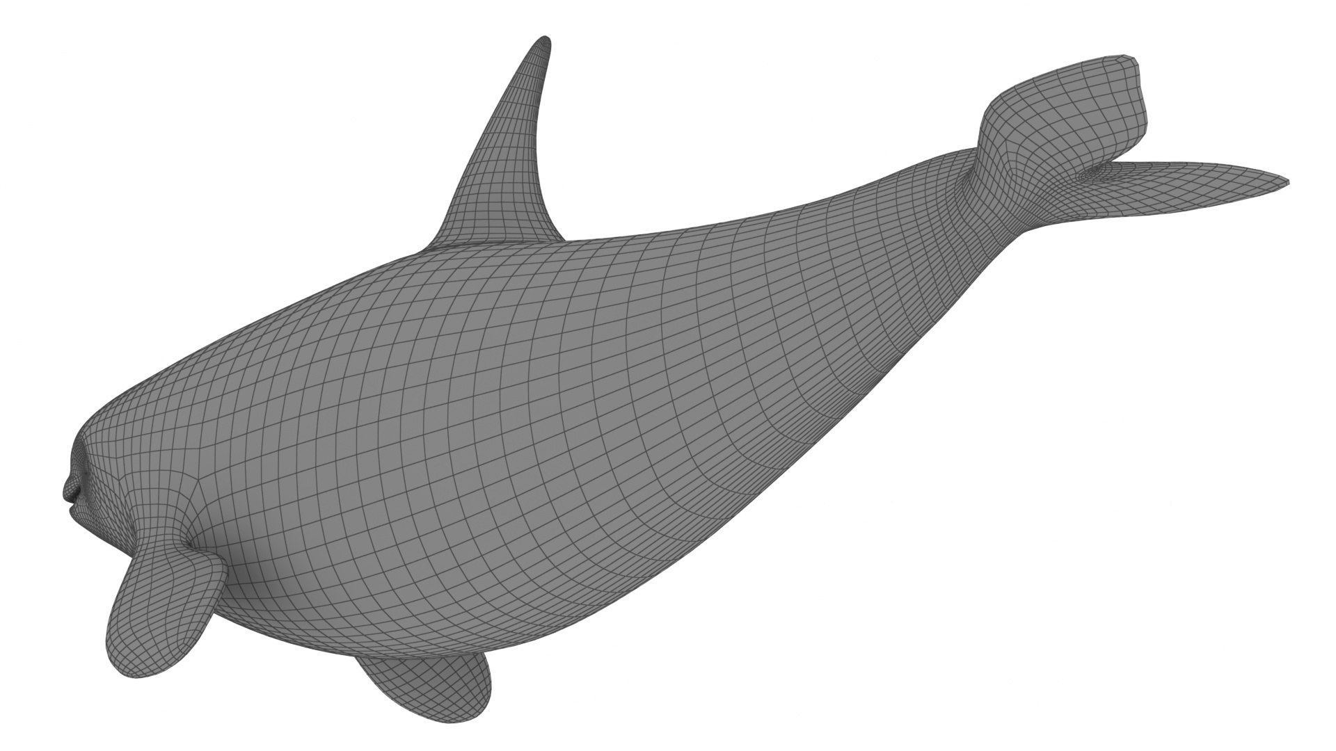 Cartoon Killer Whale 3D Model - TurboSquid 2082405
