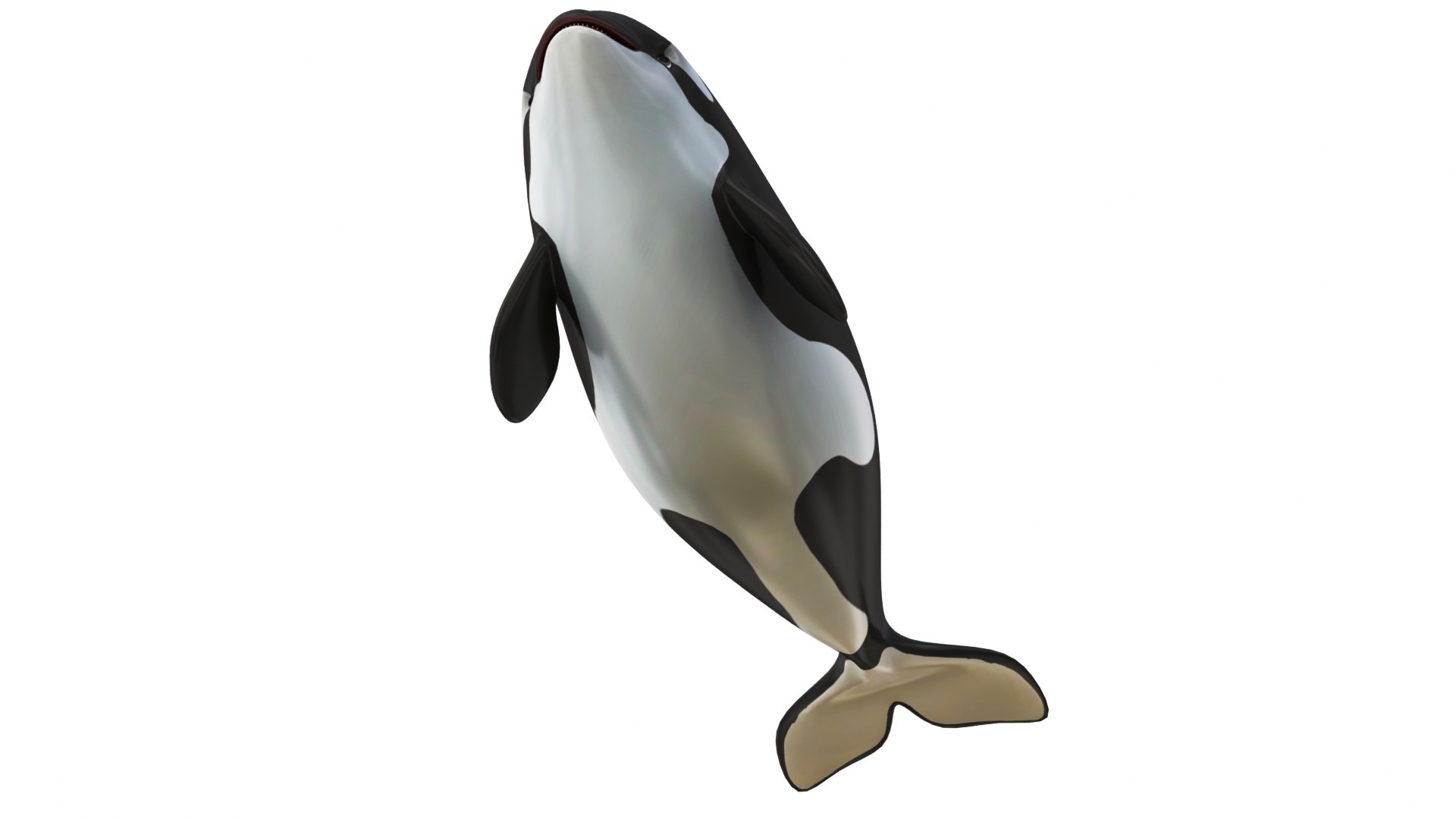 Cartoon Killer Whale 3D Model - TurboSquid 2082405