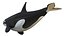 Cartoon Killer Whale 3D model