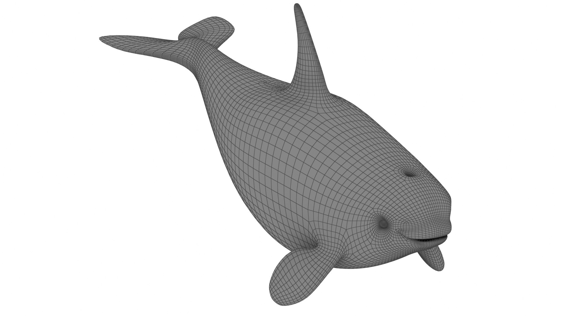 Cartoon Killer Whale 3D Model - TurboSquid 2082405