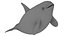 Cartoon Killer Whale 3D model
