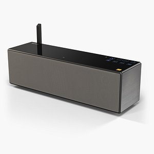 Sony SRS-X88 portable bluetooth speaker