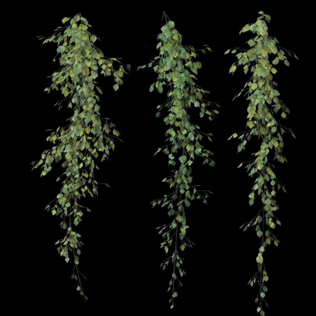 3D model climbing plants 2 https://p.turbosquid.com/ts-thumb/vF/ZGetc6/4a2VMUaW/clmg_plant4/jpg/1502141107/1920x1080/fit_q87/56edafdde2c8b58ea124bd92bbd23d72e02f8c73/clmg_plant4.jpg