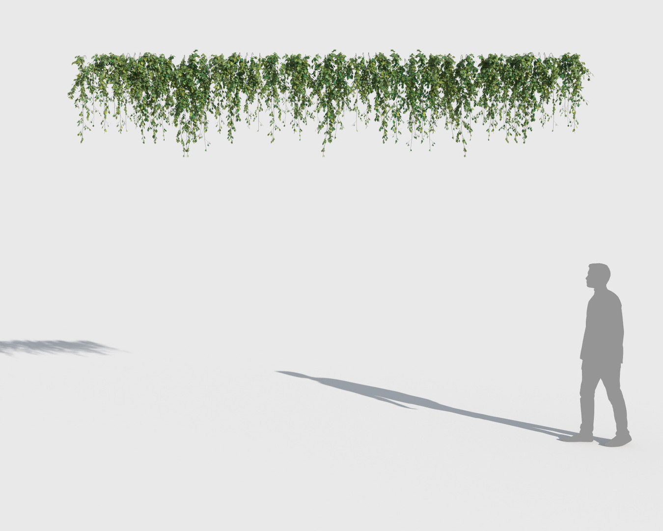 3D model climbing plants 2 https://p.turbosquid.com/ts-thumb/vF/ZGetc6/6vODuWSZ/clmg_plant6/jpg/1502141111/1920x1080/fit_q87/1d36bb093d55edd69b532ee9dbf1147a7ee2810b/clmg_plant6.jpg