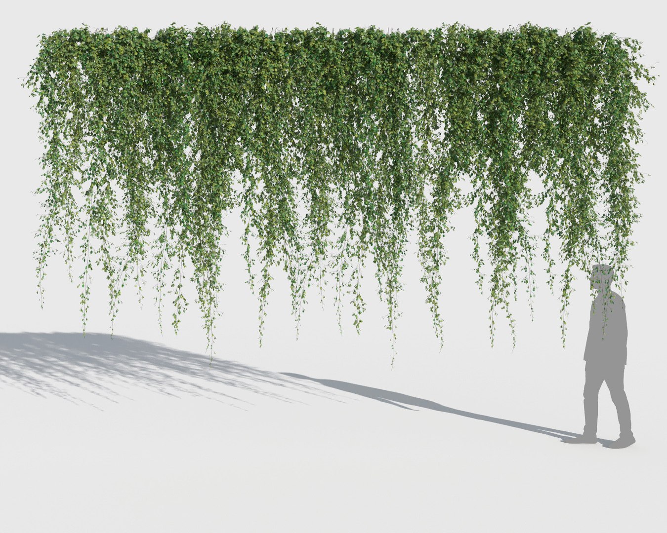 3D model climbing plants 2 https://p.turbosquid.com/ts-thumb/vF/ZGetc6/9Fj9oGCZ/clmg_plant12/jpg/1502141134/1920x1080/fit_q87/b49eed00491a2809854eae0275677834744ff0f8/clmg_plant12.jpg