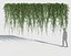 Climbing Plants Collection (+GrowFX) 2