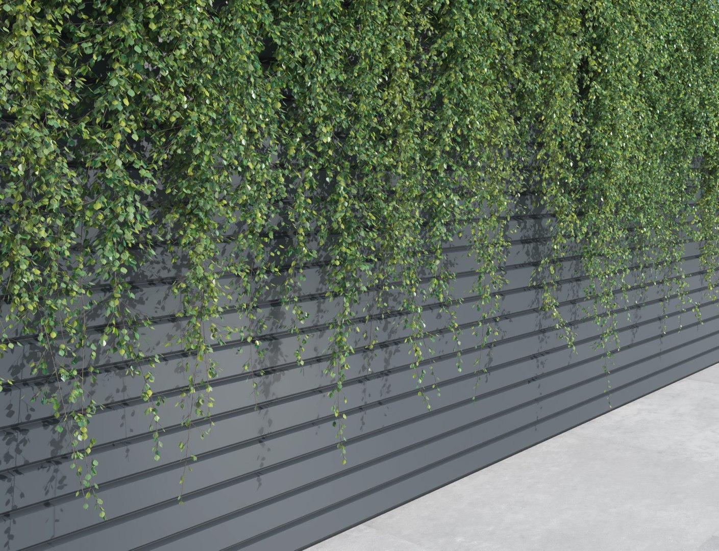 3D model climbing plants 2 https://p.turbosquid.com/ts-thumb/vF/ZGetc6/9e50ruQG/clmg_plant2/jpg/1502141101/1920x1080/fit_q87/45fef25b3dc84546d1d802d53a993a1ce25a0900/clmg_plant2.jpg