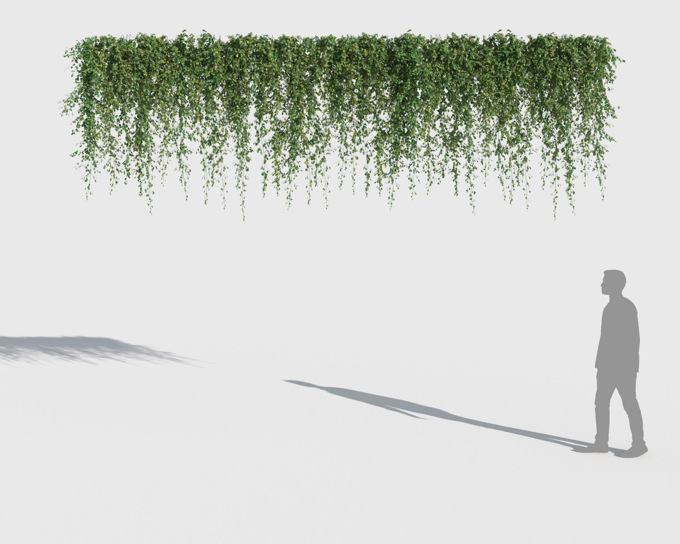 3D model climbing plants 2 https://p.turbosquid.com/ts-thumb/vF/ZGetc6/FlkUIcIe/clmg_plant10/jpg/1502141123/1920x1080/fit_q87/85a01929da23920cb62fcb0d13647e312c82591c/clmg_plant10.jpg