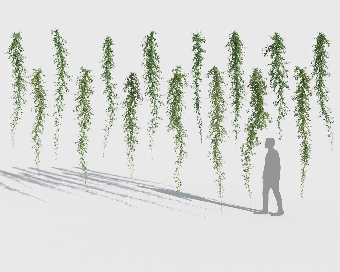 3D model climbing plants 2 https://p.turbosquid.com/ts-thumb/vF/ZGetc6/Qi15TKIz/clmg_plant11/jpg/1502141134/1920x1080/fit_q87/9293d673f719efc31ad483ba790ee3e47d69a7a0/clmg_plant11.jpg