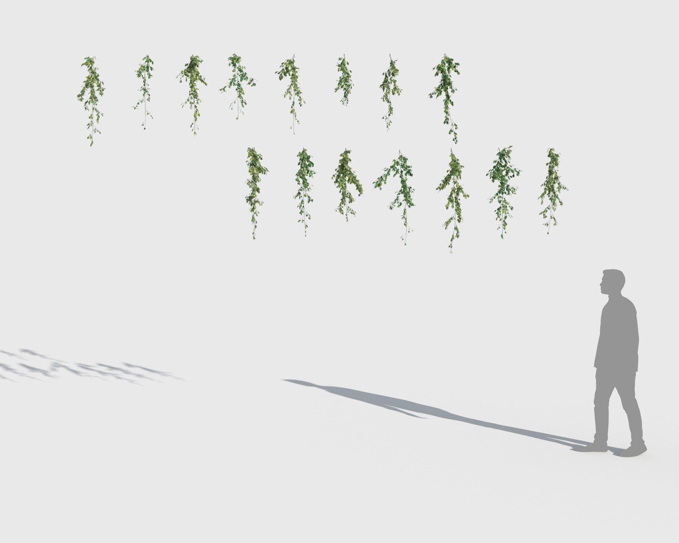 3D model climbing plants 2 https://p.turbosquid.com/ts-thumb/vF/ZGetc6/WWZGTqH7/clmg_plant5/jpg/1502141111/1920x1080/fit_q87/c1487a0bb71aaf2fb2672e6d5535d91f4885ee3f/clmg_plant5.jpg
