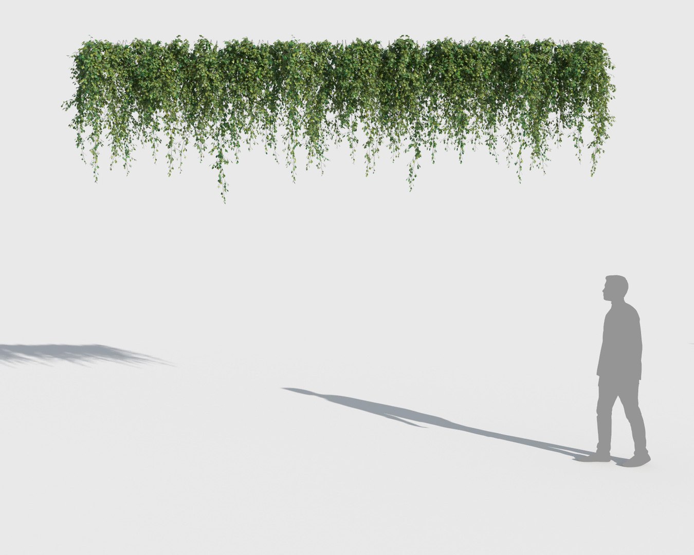 3D model climbing plants 2 https://p.turbosquid.com/ts-thumb/vF/ZGetc6/tpFfVeu9/clmg_plant8/jpg/1502141117/1920x1080/fit_q87/221e7a0501dc2896842f314aa3ce1c55f4a0d8e6/clmg_plant8.jpg