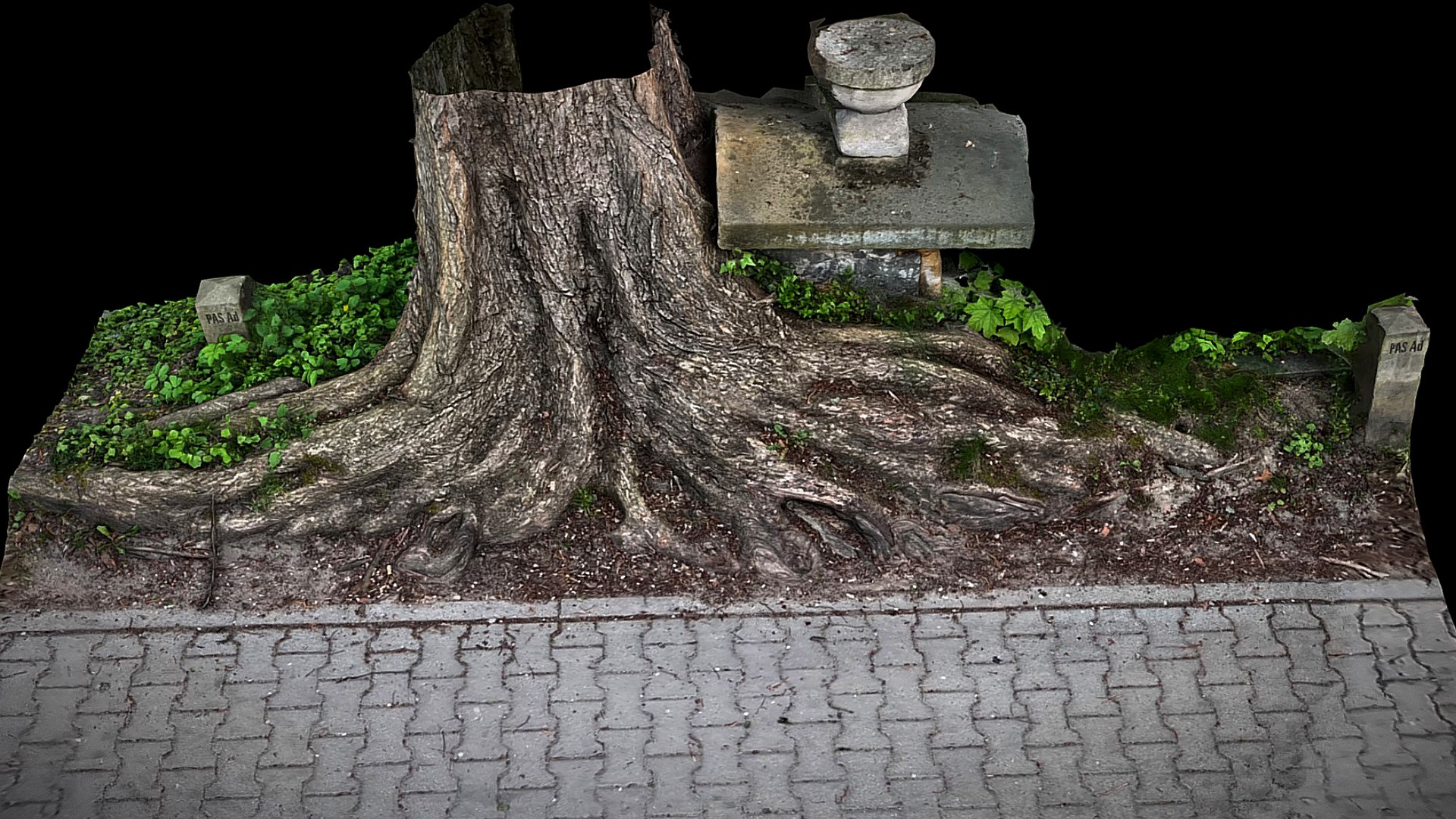 Tree Roots Sidewalk Graveyard Photogrammetry 3D Model - TurboSquid 2315228
