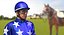 Horse Racing Jockey Helmet 3D Model