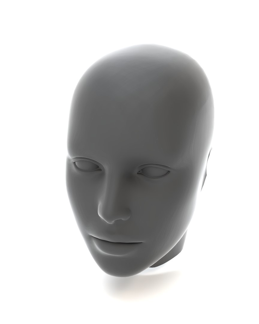 Real Size Head 3D https://p.turbosquid.com/ts-thumb/vF/jrJ7Bq/Ao/1.effectsresult/png/1736601774/1920x1080/fit_q87/c5c7b07c0ee3e1bc02db2f6fec1e64640bdd53a8/1.effectsresult.jpg