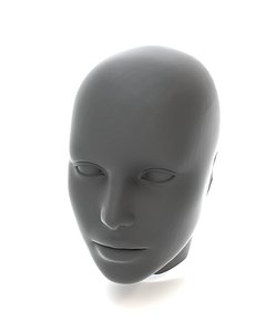 Real Size Head