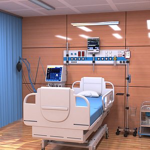 3D Private Ward model