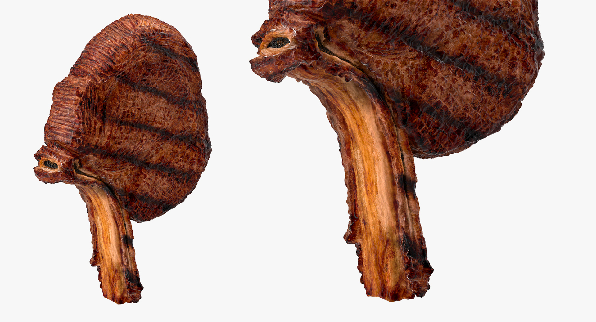 3D steaks bbq tomahawk https://p.turbosquid.com/ts-thumb/vG/56MYvG/IrKBhjhF/steaks_collection_360/jpg/1560235329/1920x1080/turn_fit_q99/58b235a585c55add0a20d93bd9e549ec4c78edbf/steaks_collection_360-1.jpg