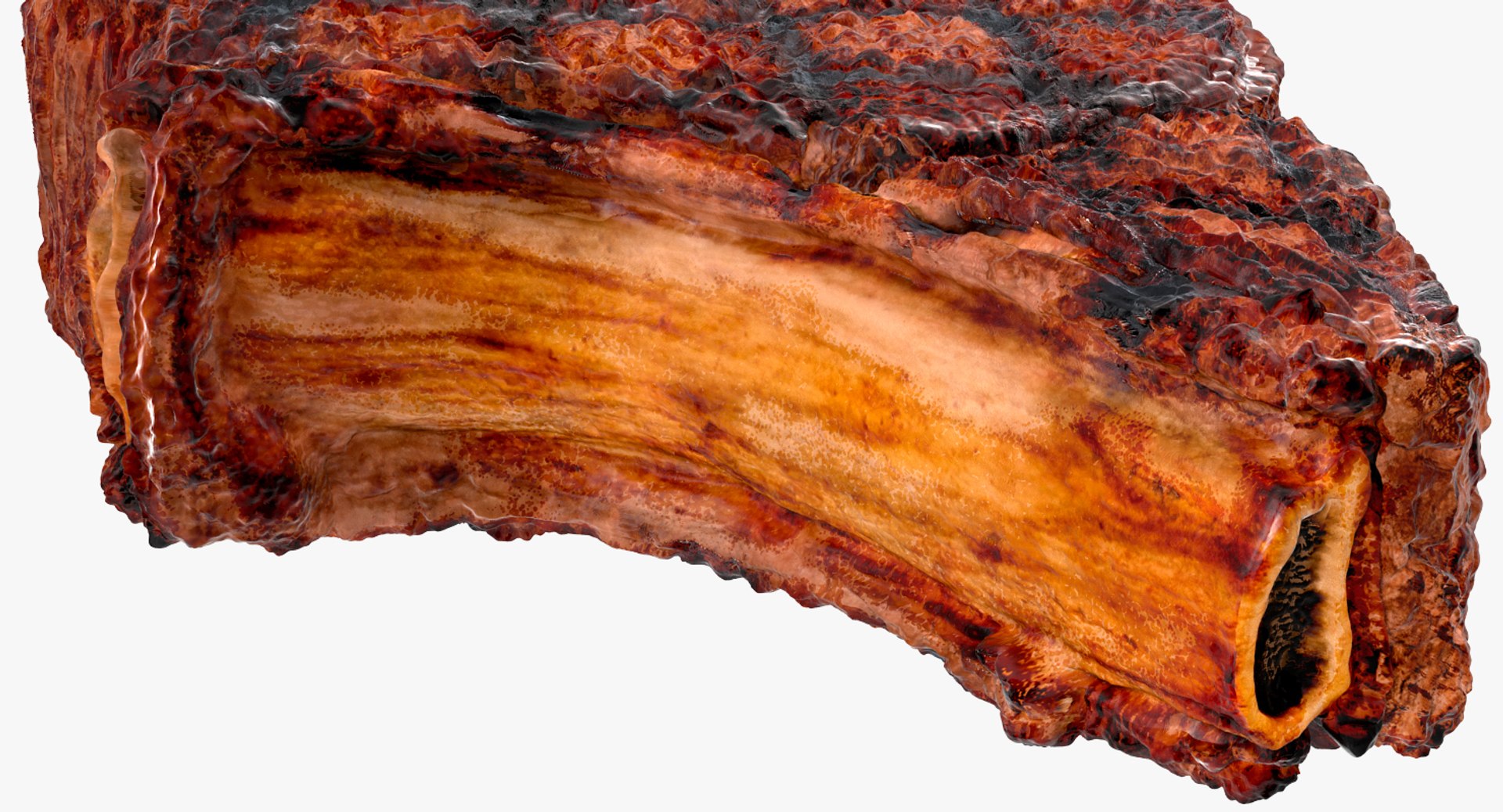 3D steaks bbq tomahawk https://p.turbosquid.com/ts-thumb/vG/56MYvG/LqFNsN2Y/steakscollection3dsmodel038/jpg/1560237377/1920x1080/fit_q87/39779bbc260c886251d43ed60300bcbc4a20855f/steakscollection3dsmodel038.jpg