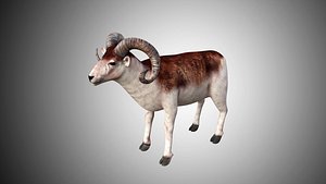 rigged realistic 3D model