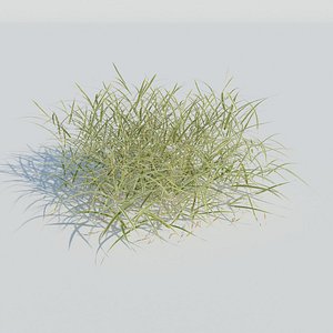 3D Gardener's Garter Grass model