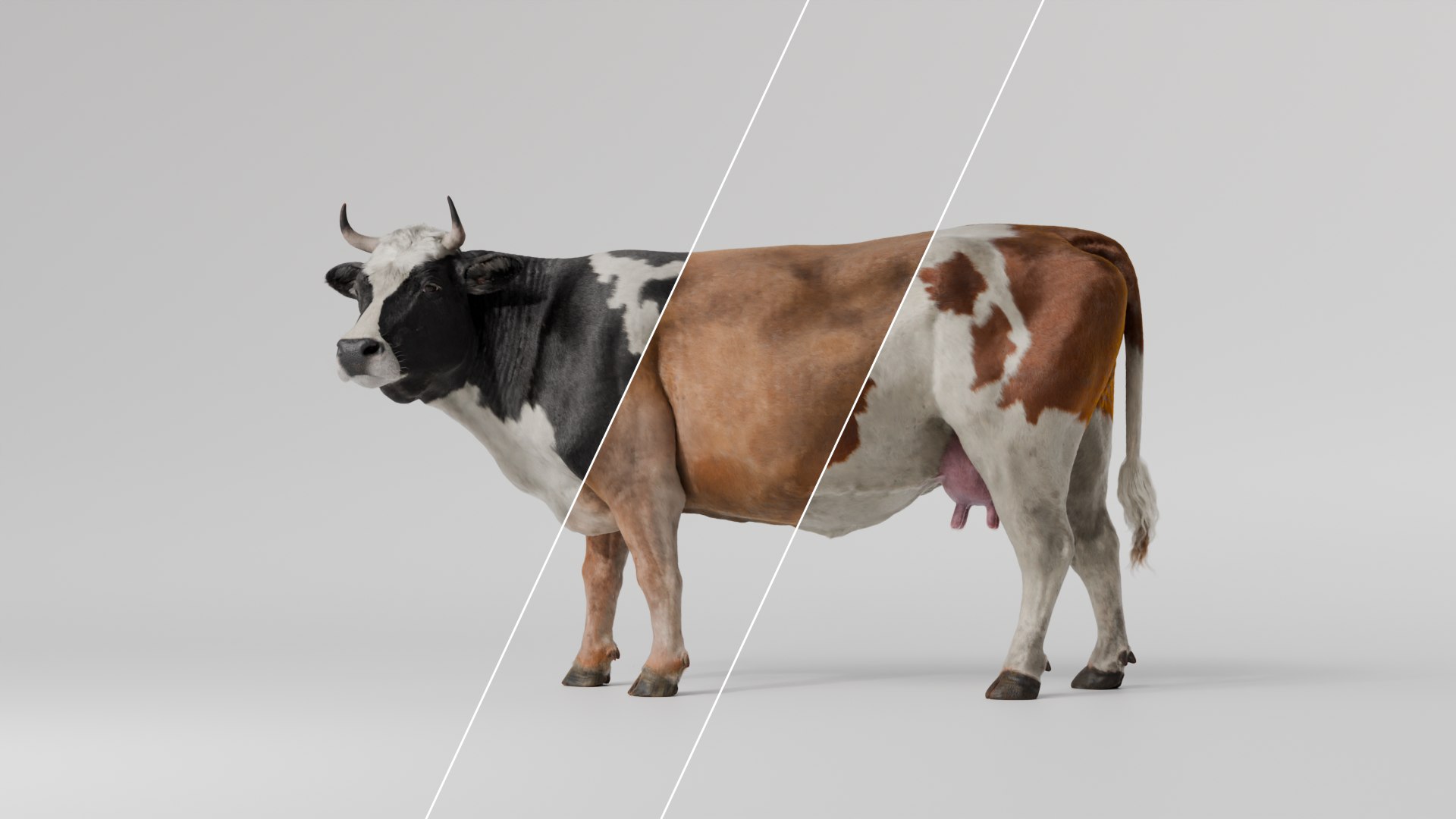 Cow Blender Rigged 3D model https://p.turbosquid.com/ts-thumb/vG/Jc86so/Kj/cow_all3_v0100000/png/1750664982/1920x1080/fit_q87/ba761b0da68715d471246c12bbc1002237285f50/cow_all3_v0100000.jpg