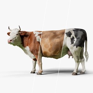 Cow Blender Rigged 3D model