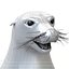 sea seal 3d model