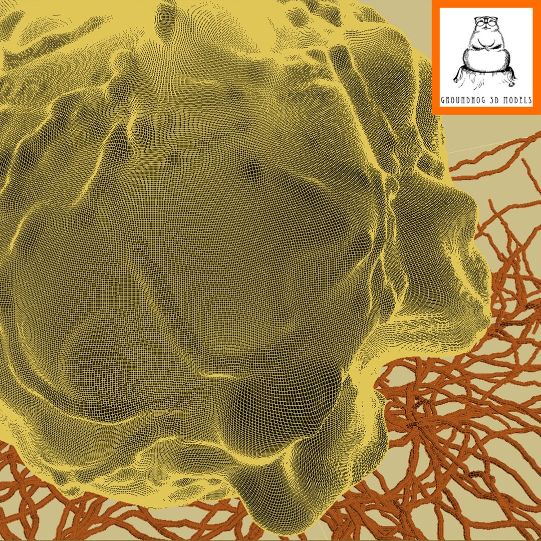 stem-cell-microscopic-3d-fbx