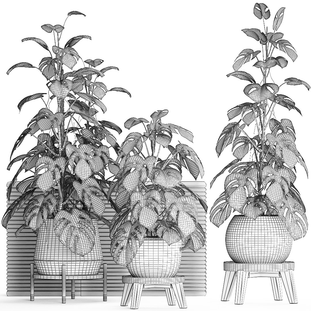 3D exotic plants monstera https://p.turbosquid.com/ts-thumb/vG/ak55le/9d5lSBNp/monstera2102202009/jpg/1582375368/1920x1080/fit_q87/b7314daeb766ca5b77ae69a00a13a3810c57817d/monstera2102202009.jpg