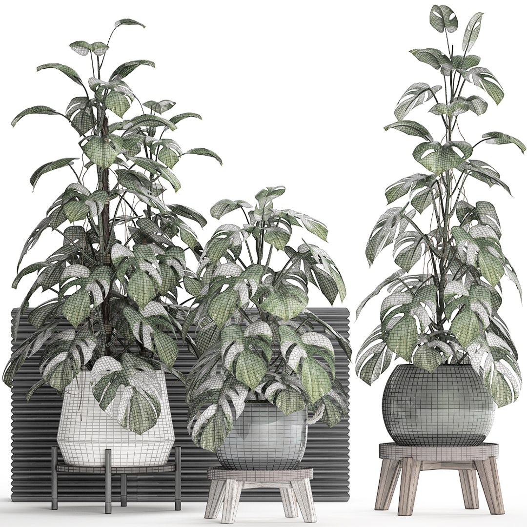 3D exotic plants monstera https://p.turbosquid.com/ts-thumb/vG/ak55le/FkeKS1mj/monstera2102202008/jpg/1582375368/1920x1080/fit_q87/78d0fe6f6393e3a8e0b7b748e9ac78999eec445a/monstera2102202008.jpg