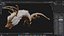 Dragon-B3
