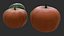 Cucurbits Assets 01