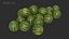 Cucurbits Assets 01