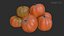 Cucurbits Assets 01