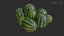 Cucurbits Assets 01