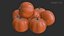 Cucurbits Assets 01