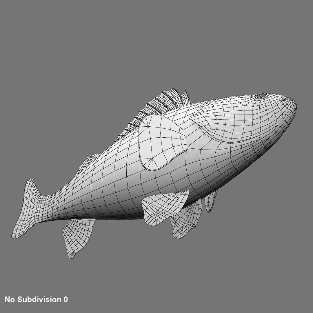 3D perch fish https://p.turbosquid.com/ts-thumb/vG/t1c3vX/JIoIDFZ7/wireframe4/jpg/1585981015/1920x1080/fit_q87/12af20addf29843aa0e9825de06b7ab9849661eb/wireframe4.jpg