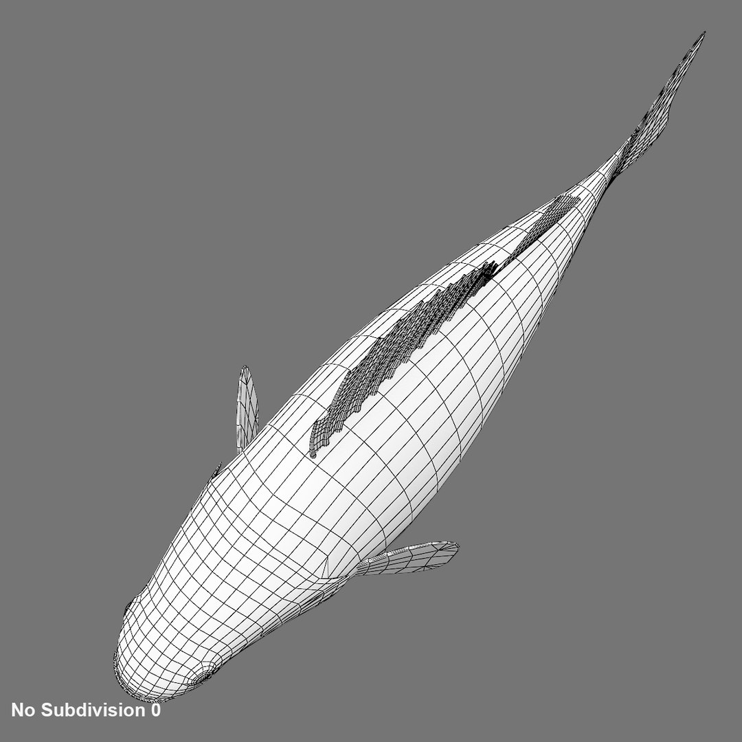 3D perch fish https://p.turbosquid.com/ts-thumb/vG/t1c3vX/YBBHMev6/wireframe3/jpg/1585981015/1920x1080/fit_q87/4f99cc46624807270dceb3b5e1bb5b6f73f0d8b4/wireframe3.jpg