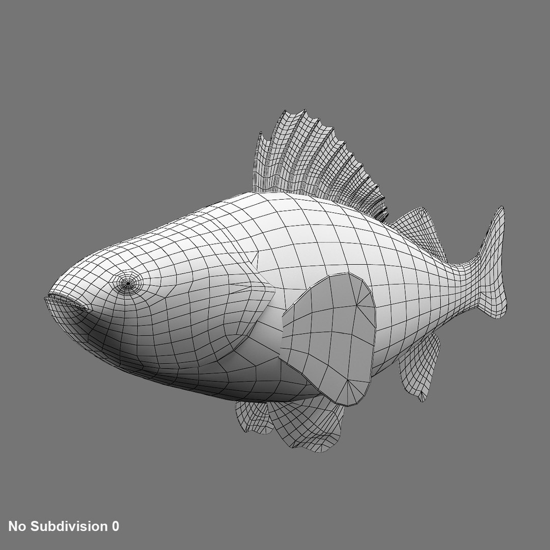 3D perch fish https://p.turbosquid.com/ts-thumb/vG/t1c3vX/kYlAFgNi/wireframe2/jpg/1585981015/1920x1080/fit_q87/da80cba67a9bccc875a4a3adbdc9b3661f5c55d8/wireframe2.jpg
