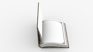 3D Book Rigged and Animated model