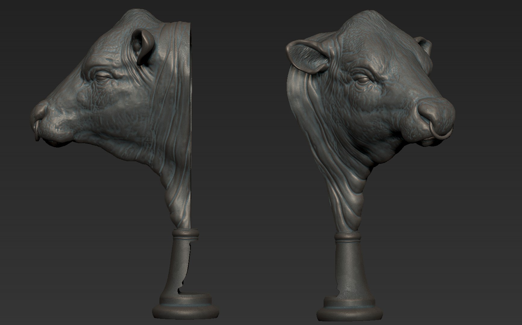 Angus Bull model https://p.turbosquid.com/ts-thumb/vH/1Qien2/FC/14/png/1658792405/1920x1080/fit_q87/e9710420fce2cf1a77d19e5715e9f987eac60ec7/14.jpg