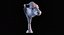 Taureau Angus