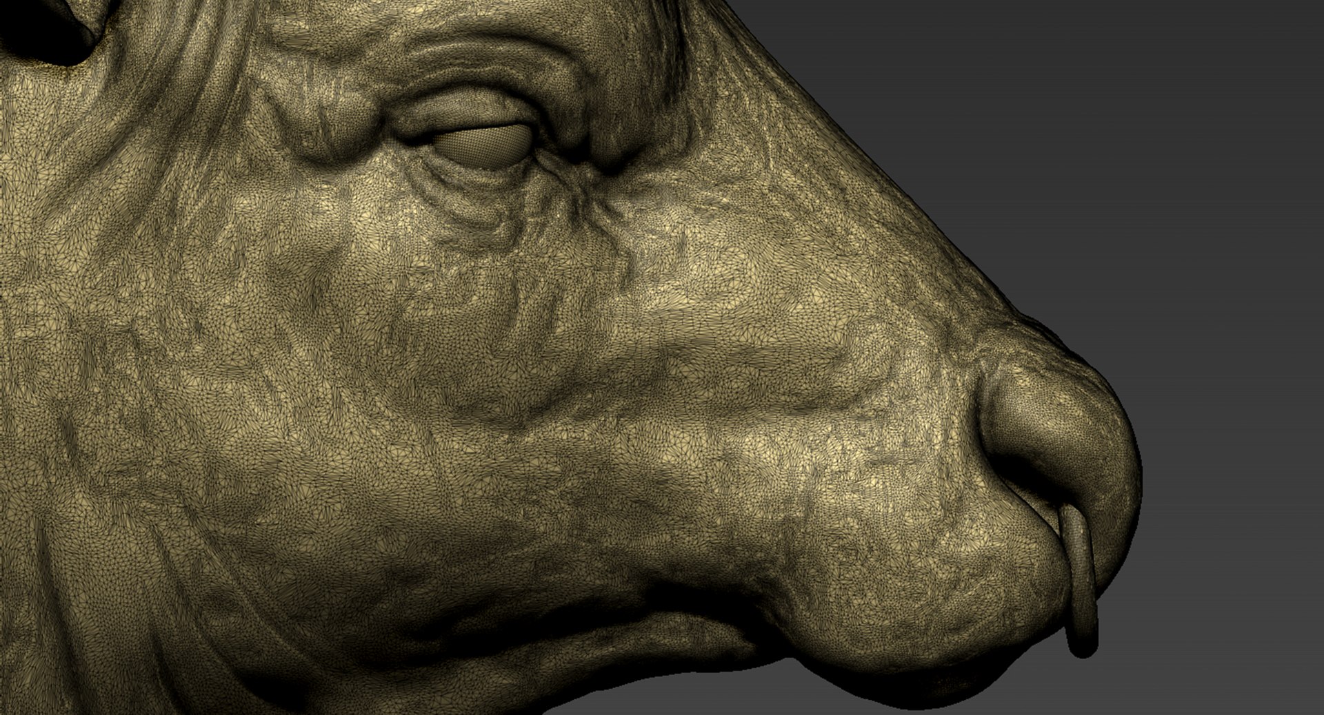 Angus Bull model https://p.turbosquid.com/ts-thumb/vH/1Qien2/ke/19/png/1658792430/1920x1080/fit_q87/9c498eecee061c6dc542de42b88af02712dcd145/19.jpg