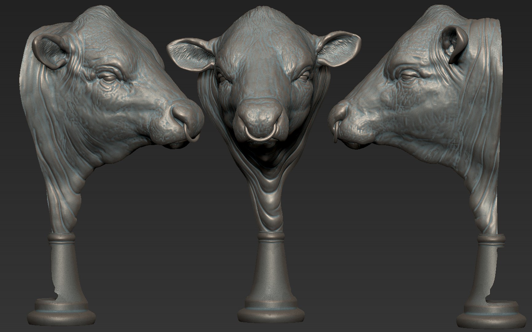 Angus Bull model https://p.turbosquid.com/ts-thumb/vH/1Qien2/tN/17/png/1658792413/1920x1080/fit_q87/13c20fea219d6dd0b52e7949c83d6677e16691f3/17.jpg